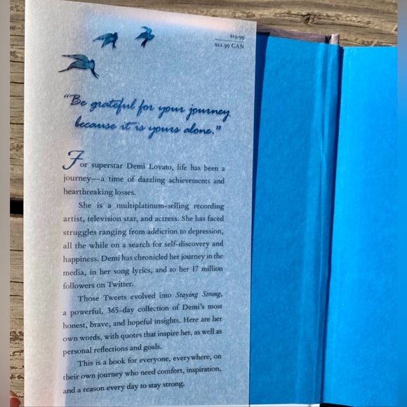 Staying Strong 365 Days A Year by Demi Lovato Excellent Used Condition - Picture 4 of 5